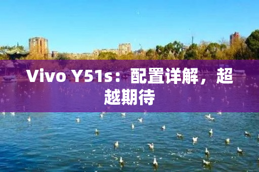 Vivo Y51s：配置详解，超越期待